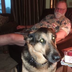 Meet your Posher, Randy